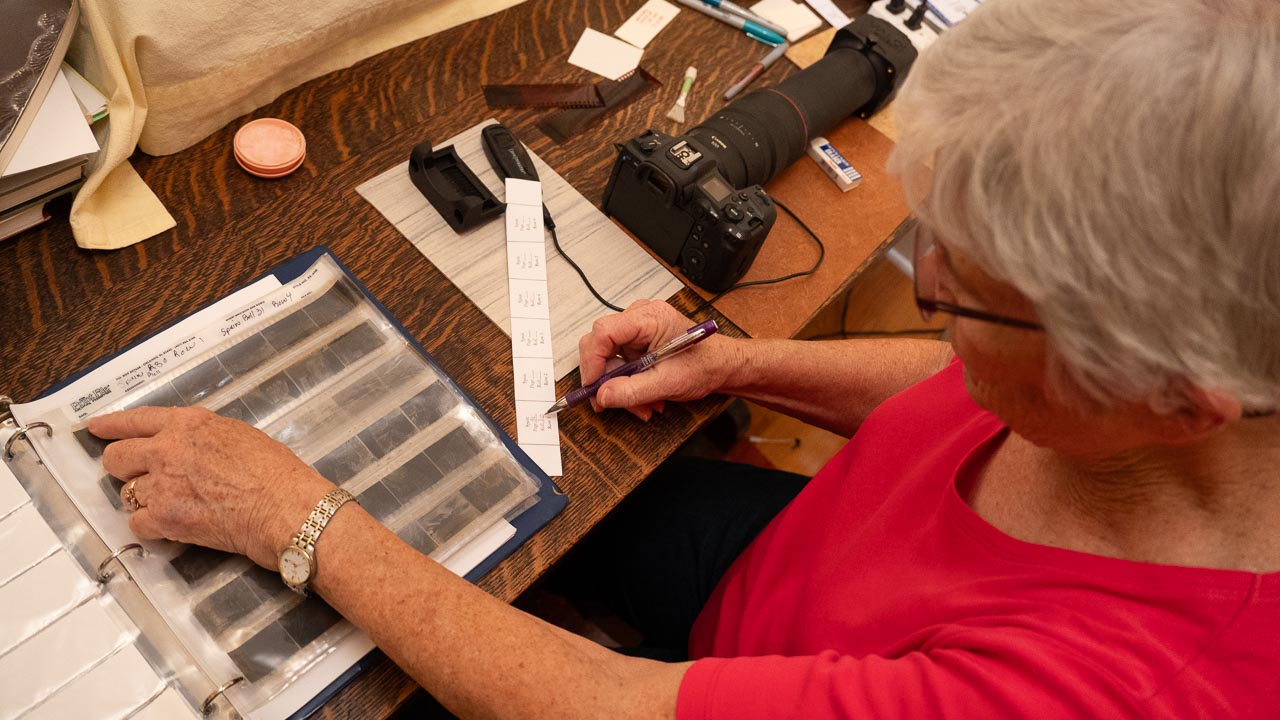 Carefully categorizing and documenting where the photos were taken.  