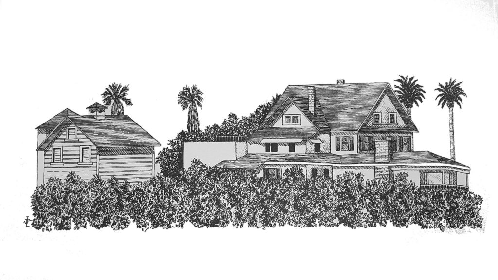 Pencil drawing no background