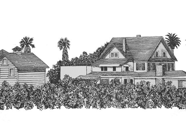 Pencil drawing no background